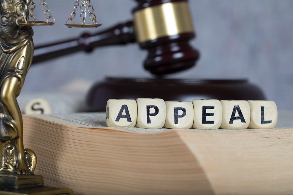 The Appeal Process: Steps to Take if You Want to Challenge a Court Decision